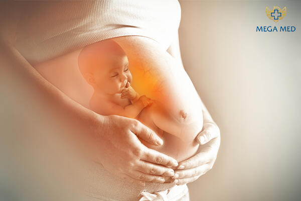 nguyên nhân dài bao quy đầu do bẩm sinh